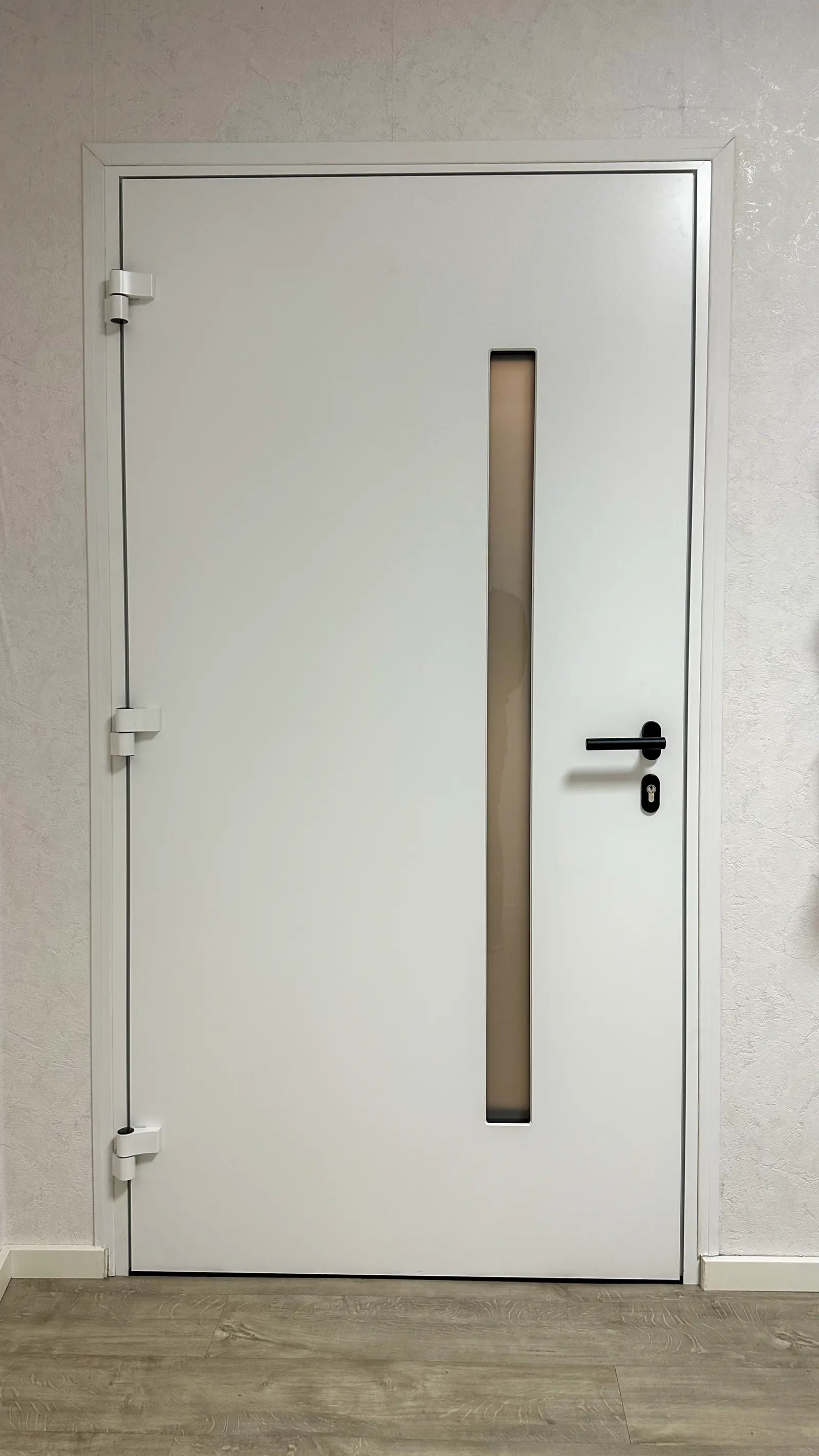 Haustüren und Eingangstüren Referenz 17