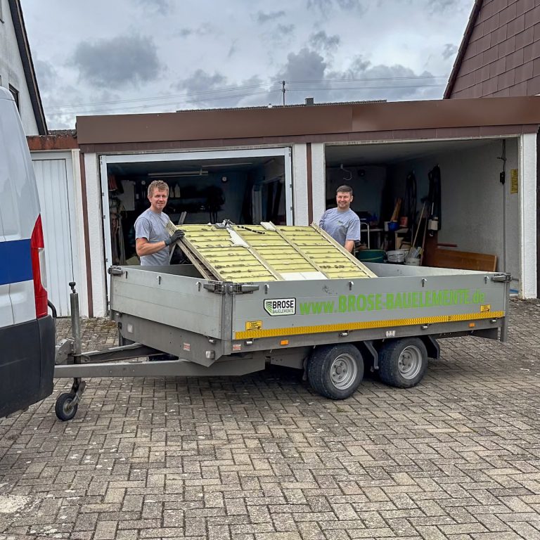 Ausbau und umweltgerechte Entsorgung